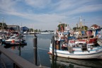 Hafen1