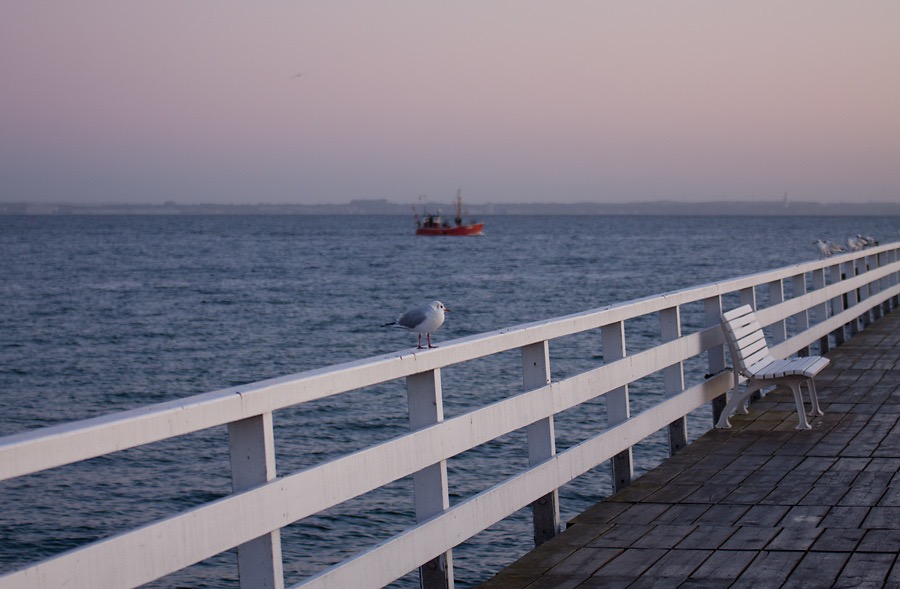 Loading Image