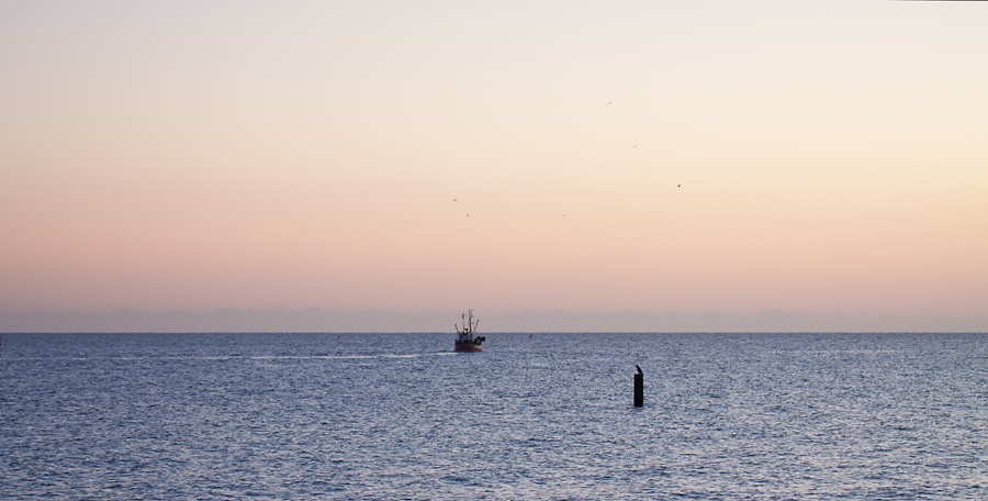 Loading Image