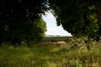Wald2